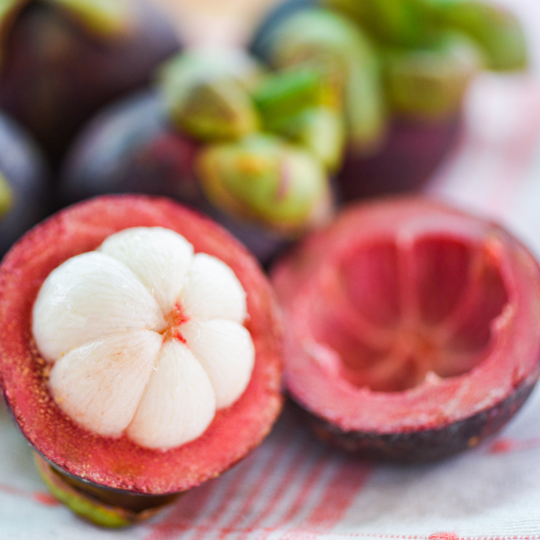 Garcinia Mangostana